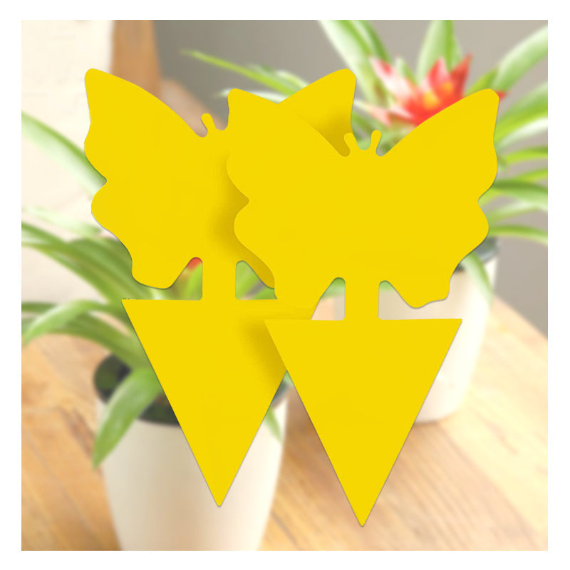 Flugfångare | 10-pack