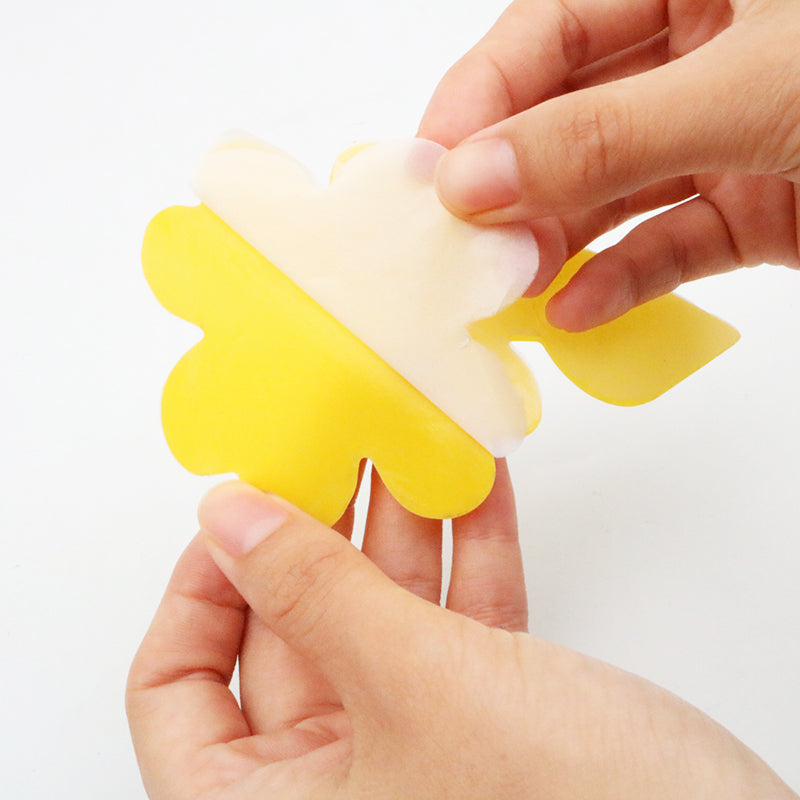 Flugfångare | 10-pack